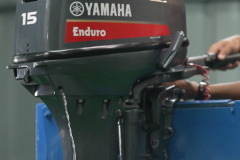 Flushing-E15D